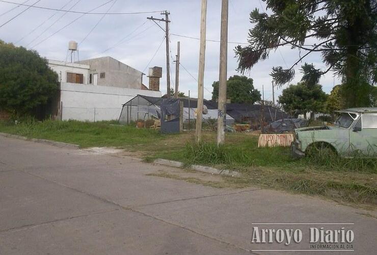 Imagen de Con las manos en la maseta: fue detenido tras robar en un vivero