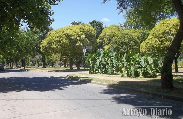 El hecho delictivo se dio en Boulevard Mansueto Maiorano y Mitre el viernes por la noche