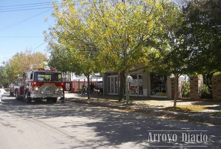 Imagen de Bomberos: incendio de pastizales