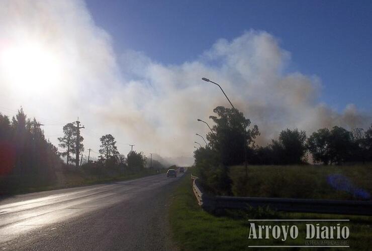 Inspectores de tránsito permanecían sobre ruta por precaución