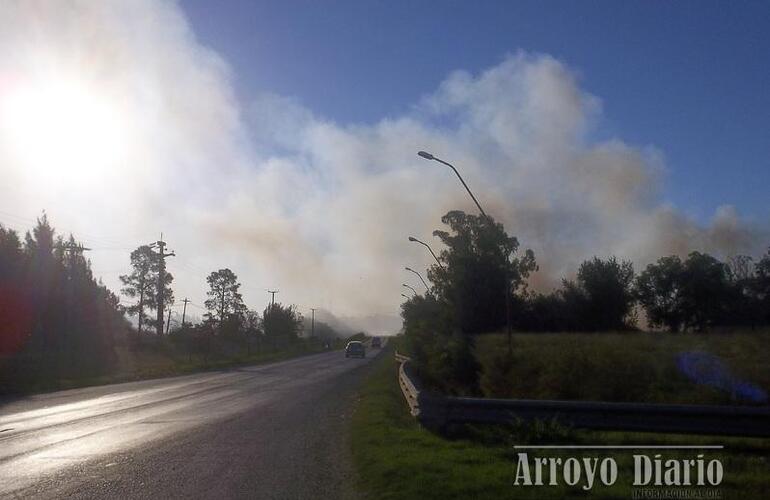 Inspectores de tránsito permanecían sobre ruta por precaución