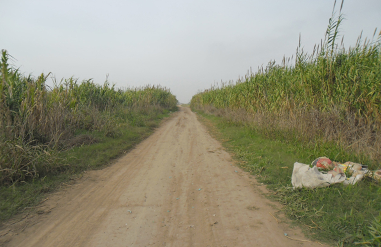 Raptan e intentan abusar a una joven de 13 a&ntilde;os