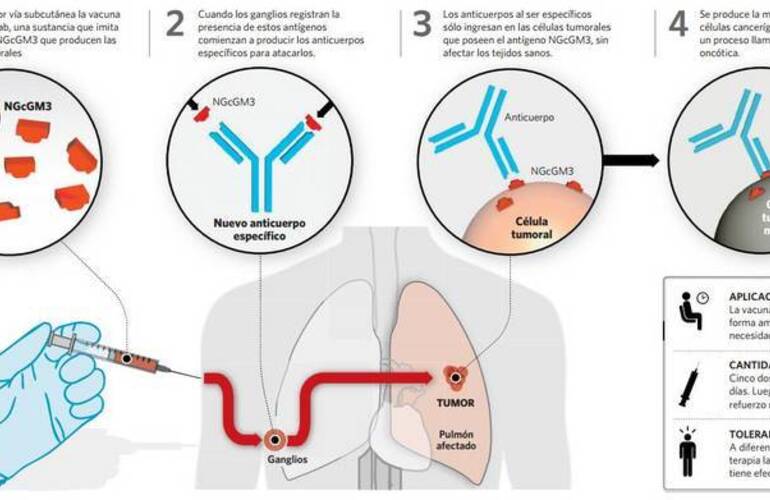 Imagen de Día mundial sin tabaco: aprueban una vacuna argentina para tratar el cáncer de pulmón