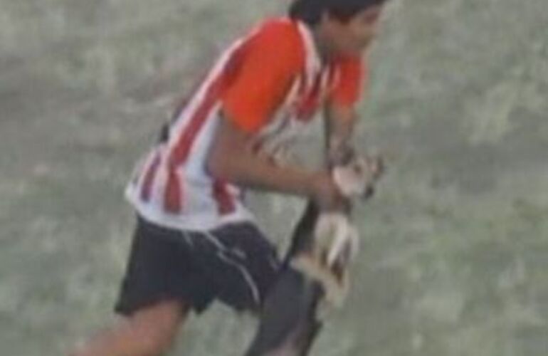 Imagen de Increíble: ahorcó a un perro y lo arrojó contra el alambrado