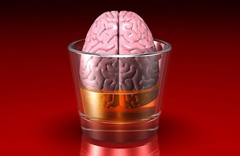 Imagen de Científicamente comprobado: los más inteligentes toman más alcohol