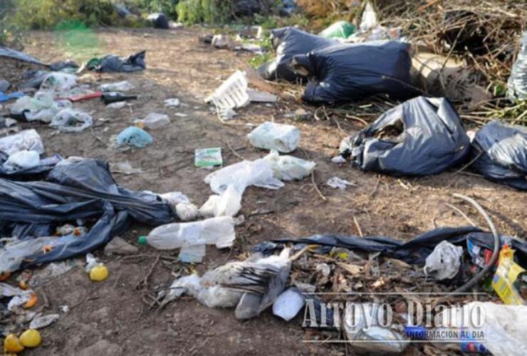 De todo. Bolsas con ramas, botellas plásticas y hasta un animal muerto se van acumulando en el lugar. (foto: Celina Mutti Lovera)