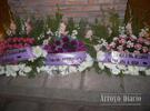 Imagen de Homenaje a Evita a 61 años de su fallecimiento