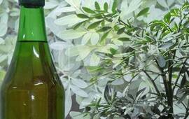 Foto: Imagen Ilustrativa