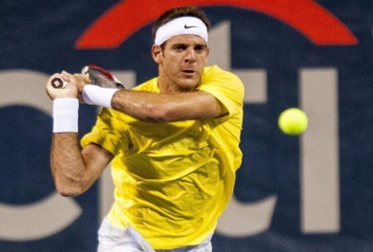 Imagen de Del Potro va por el título en Washington