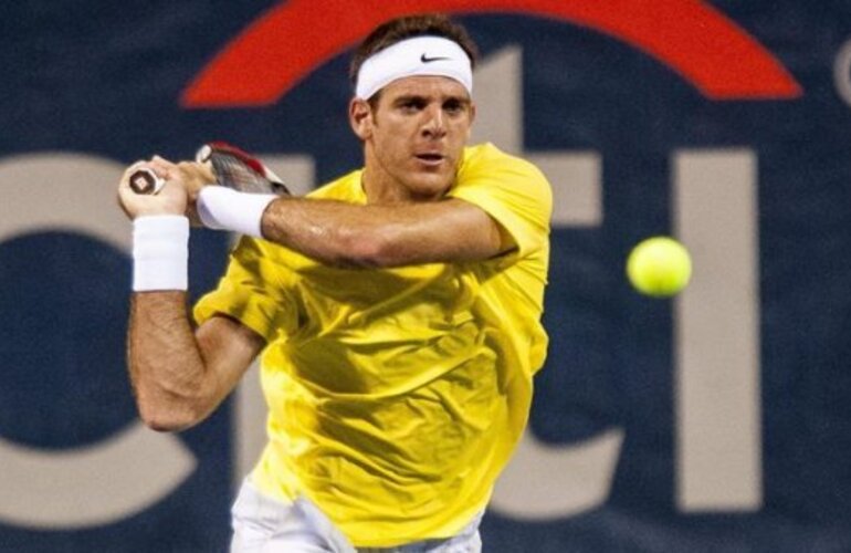 Imagen de Del Potro va por el título en Washington