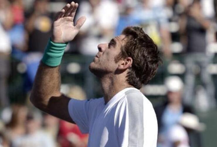 Imagen de Tenis: Del Potro le ganó a Isner y se quedó con el título del ATP de Washington