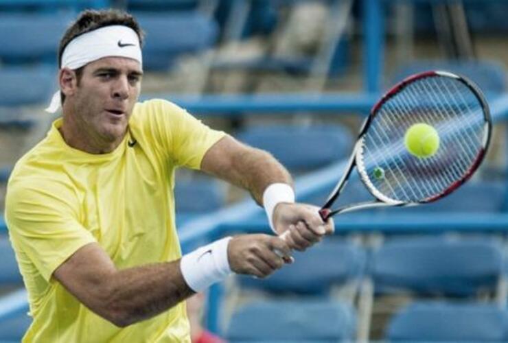 Imagen de Tenis: Del Potro perdió ante Isner en las semifinales del torneo de Cincinnati