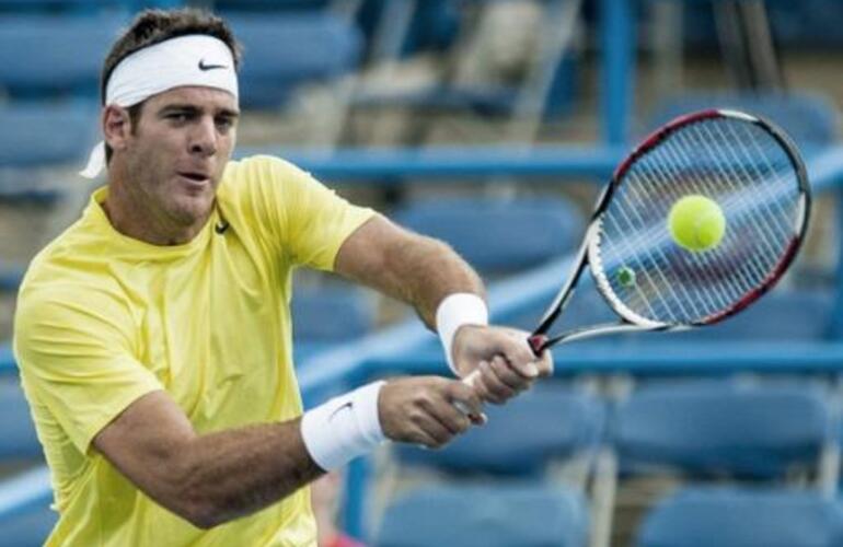 Imagen de Tenis: Del Potro perdió ante Isner en las semifinales del torneo de Cincinnati