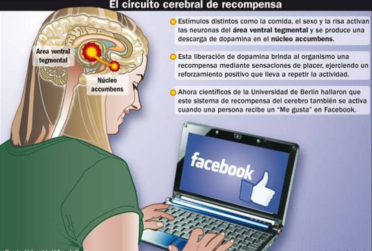 Imagen de Recibir "Me gusta" en Facebook activa como la droga y el sexo