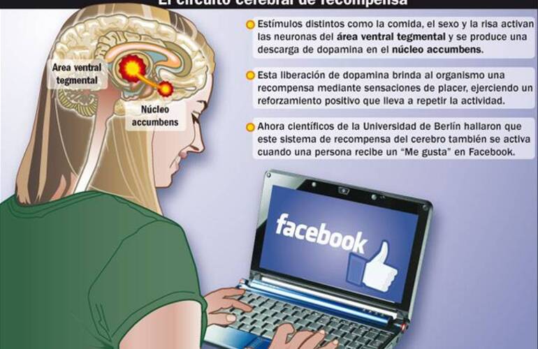 Imagen de Recibir "Me gusta" en Facebook activa como la droga y el sexo