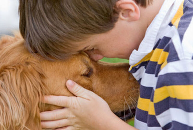 Imagen de Los perros sienten nuestro dolor y nos consuelan