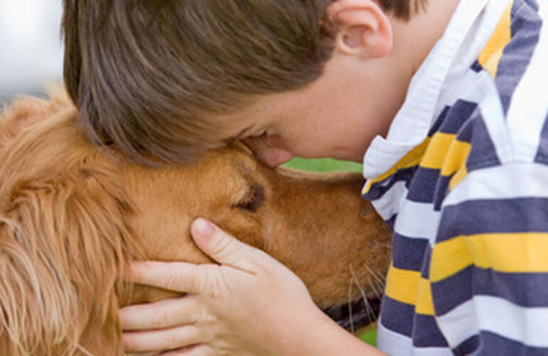 Imagen de Los perros sienten nuestro dolor y nos consuelan