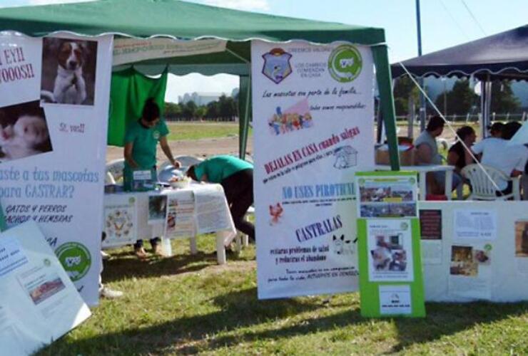 La protectora de Las Parejas busc&oacute; infructuosamente a los perros desaparecidos.