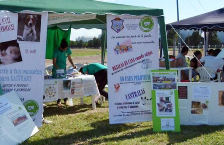 La protectora de Las Parejas busc&oacute; infructuosamente a los perros desaparecidos.