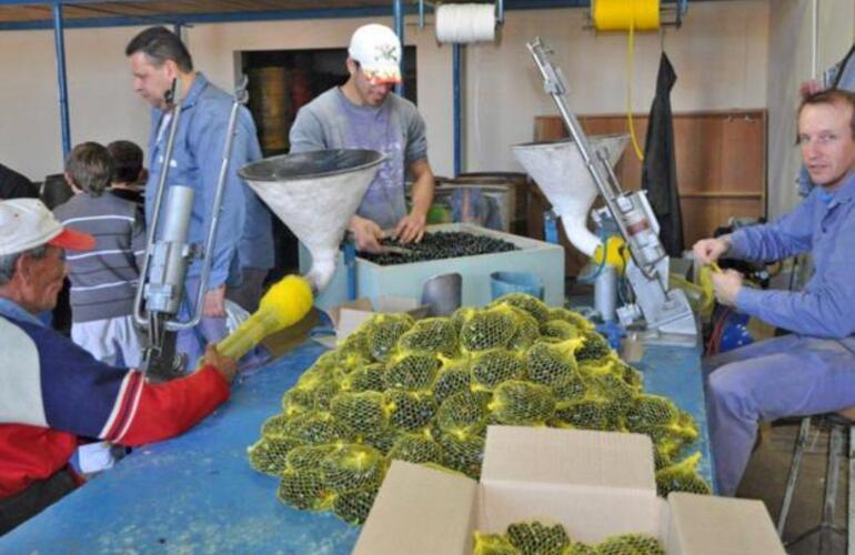 Los operarios envasan las bolitas en la planta de Tinka, una fábrica que tiene mucho para contar