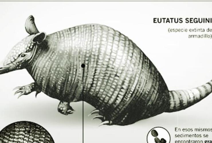 Imagen de Pueblo Esther: Dos investigadores hallan restos fósiles de más de 10 mil años