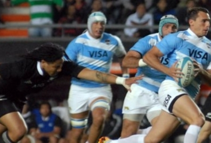 Imagen de Rugby Championship: Los Pumas lucharon ante los All Blacks pero no pudieron