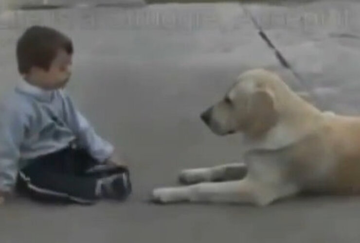 Imagen de El video del nene con síndrome de Down y su perra es furor en Internet