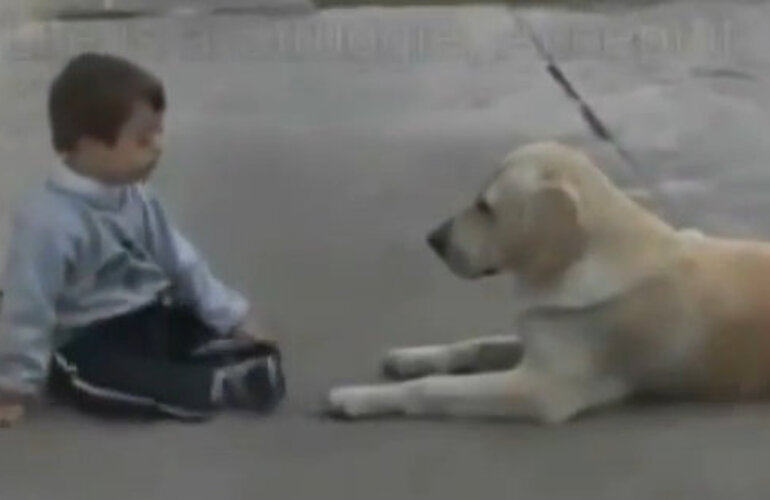 Imagen de El video del nene con síndrome de Down y su perra es furor en Internet