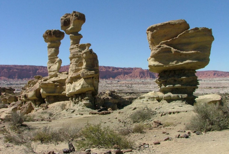 El hallazgo se produjo en el Parque Ischigualasto