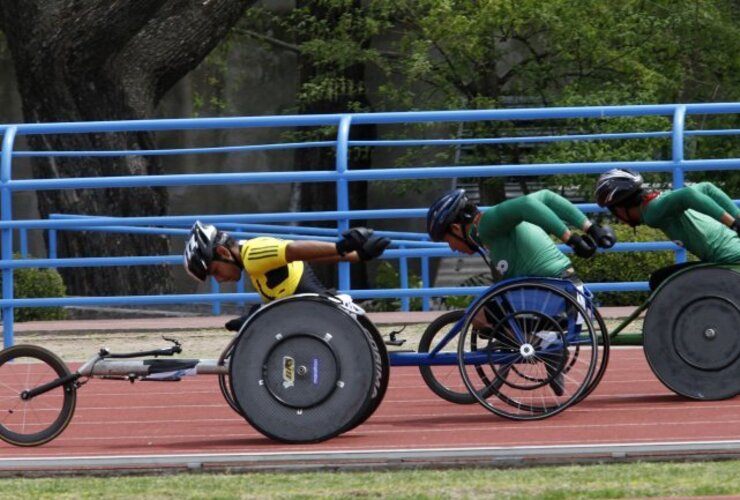 Imagen de En los Parapanamericanos, la Argentina ganó 15 medallas