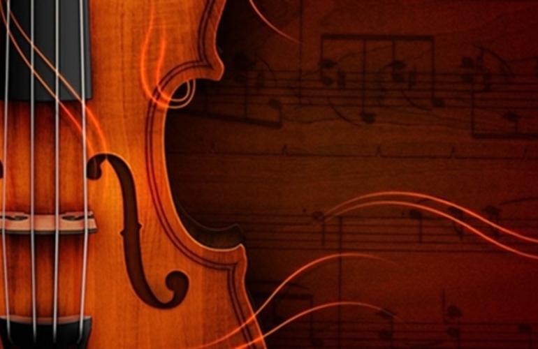 Imagen de Muestra de Viol&iacute;n