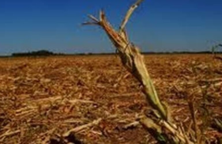Imagen de Preocupaci&oacute;n en el norte: "No hay agua para consumo humano"