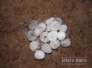 Imagen de Cayó granizo de gran tamaño en Arroyo Seco