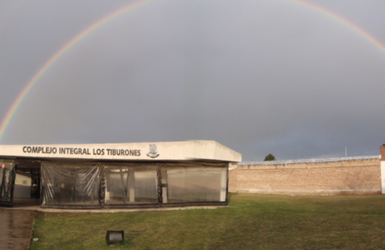 La foto es real y fue tomada por �Cheli�, una de las Profes del Complejo "Los Tiburones"