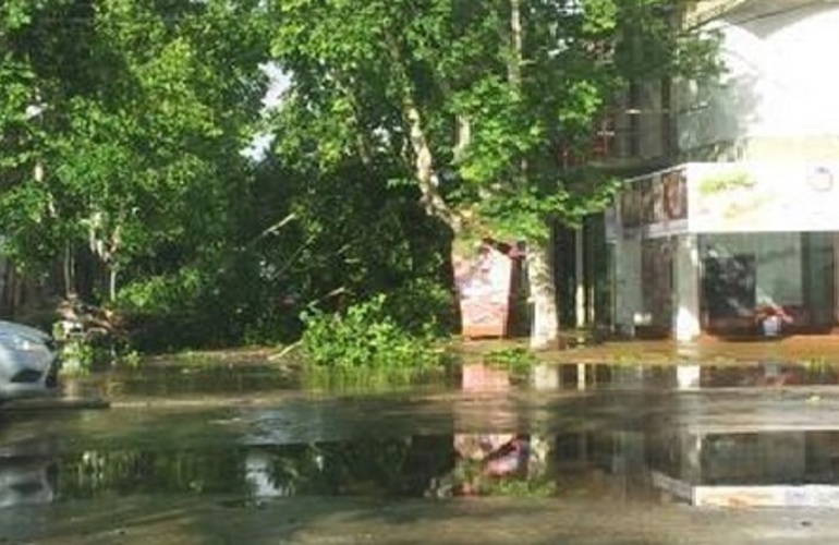 Lluvia y mucho viento en Venado Tuerto, donde cayeron &aacute;rboles y postes. (Twitter/@venadotuerto)