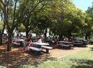 Imagen de Comenzó la Colonia de Vacaciones Municipal