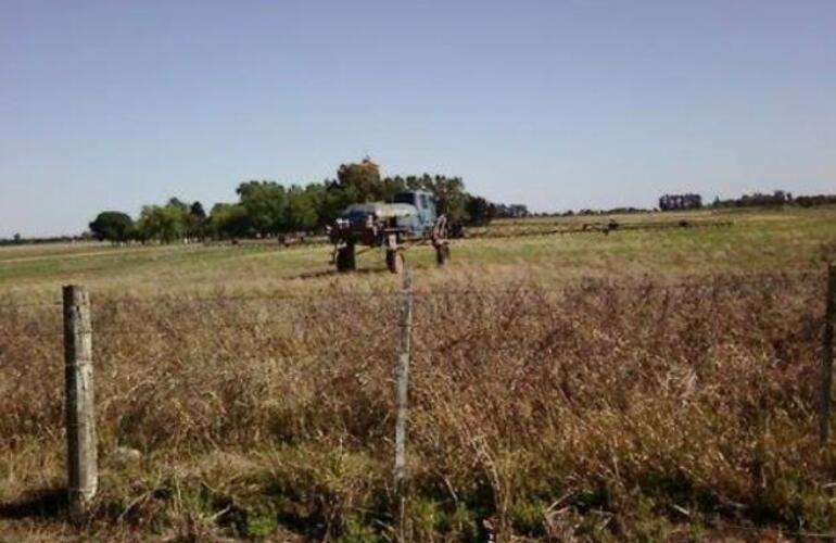 Los trabajos con mosquitos son continuos y cercanos a caminos. Luego los aspersores transitan el radio urbano.