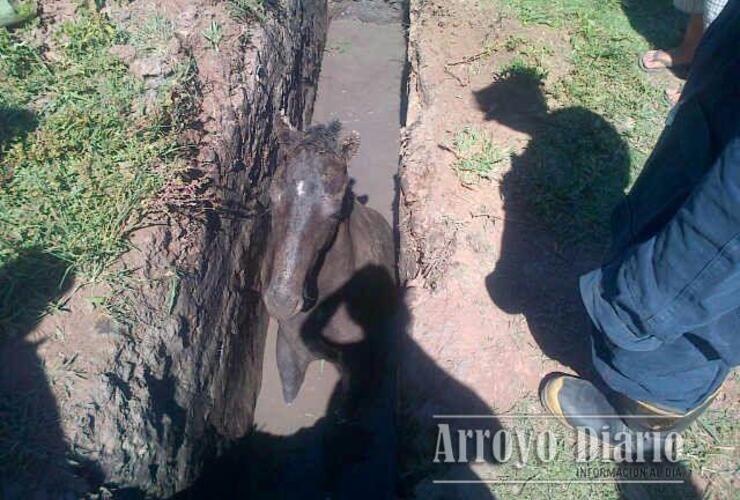 Foto: Gentileza Bomberos Voluntarios para Arroyo Diario