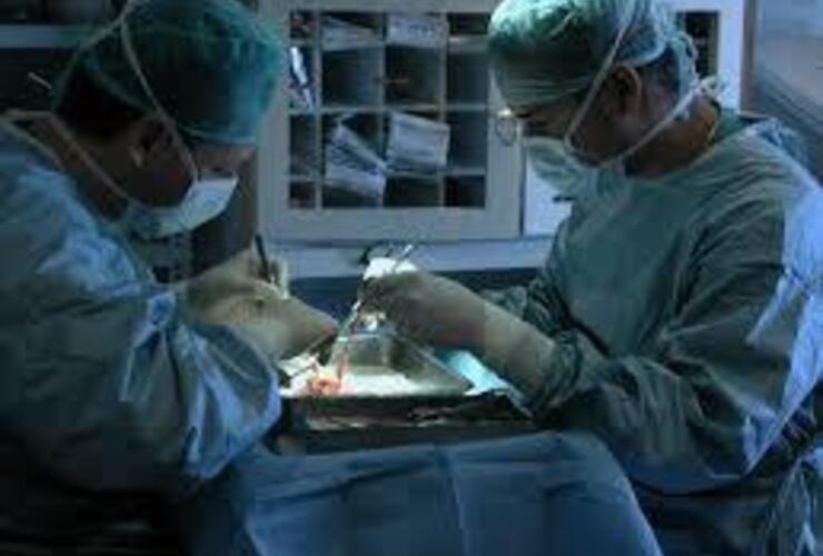Imagen de Inauguraron una unidad de trasplante renal en el Hospital Cullen