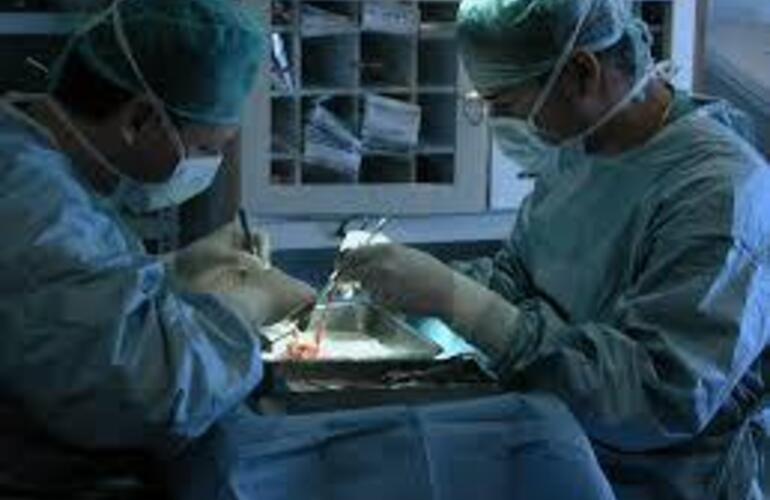 Imagen de Inauguraron una unidad de trasplante renal en el Hospital Cullen
