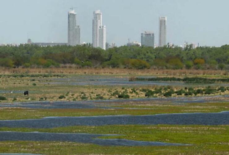 Naturaleza frente a la ciudad. Buscan mantener el valor de una zona clave en el ecosistema de la región.