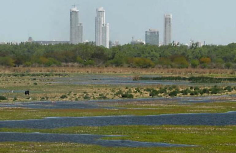 Naturaleza frente a la ciudad. Buscan mantener el valor de una zona clave en el ecosistema de la regi&oacute;n.