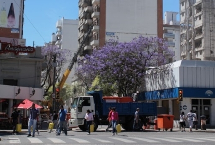 Imagen de Rosario: Se reabrió el paso vehicular por Salta al 2100, pero quieren que sea peatonal