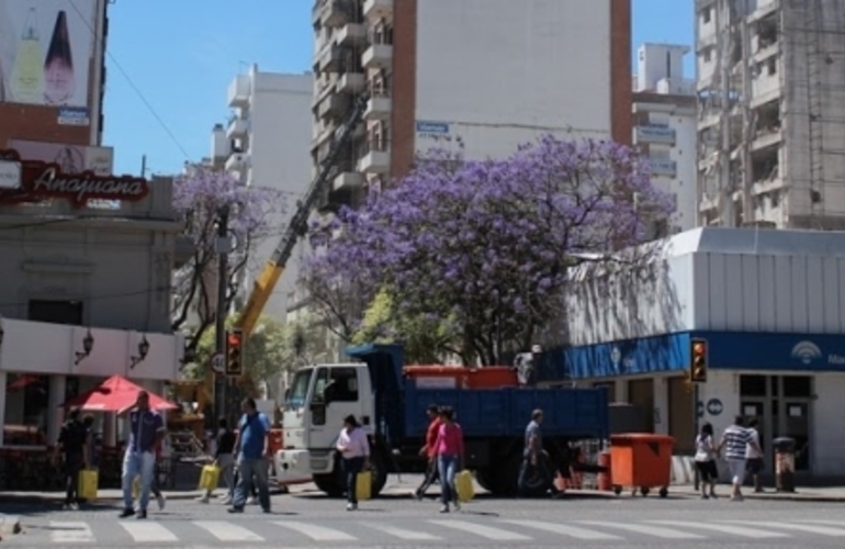 Imagen de Rosario: Se reabrió el paso vehicular por Salta al 2100, pero quieren que sea peatonal