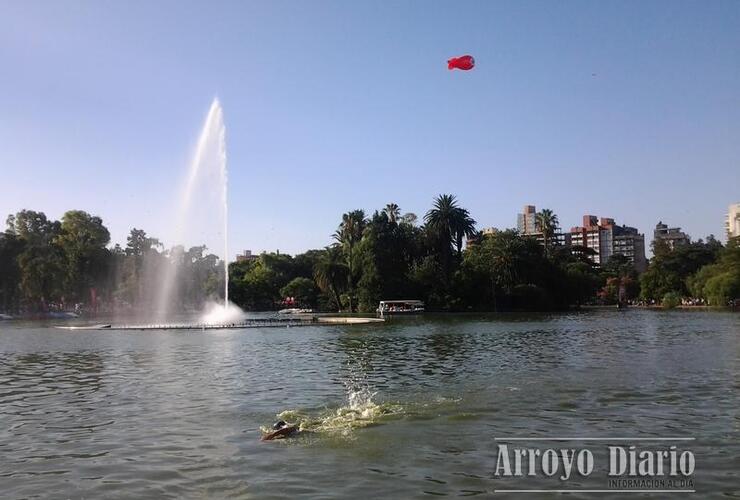 Imagen de Laguito tricolor y popular para el maratón acuático internacional Ciudad de Rosario