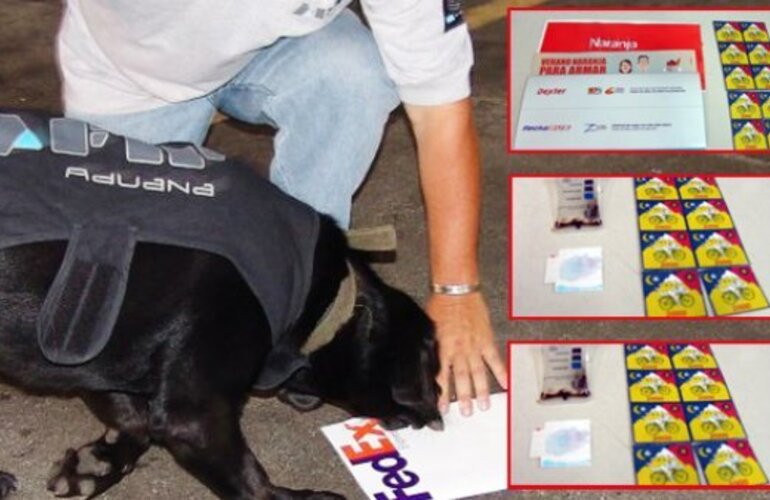 Imagen de Perro de AFIP detect&oacute; 1200 dosis de &aacute;cido lis&eacute;rgico en una encomienda que iba a Estados Unidos