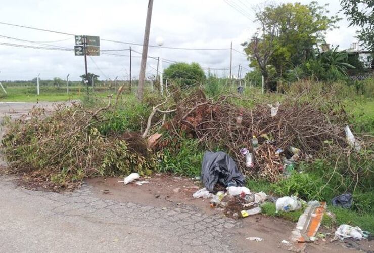 Imagen de El puerto local un verdadero basural