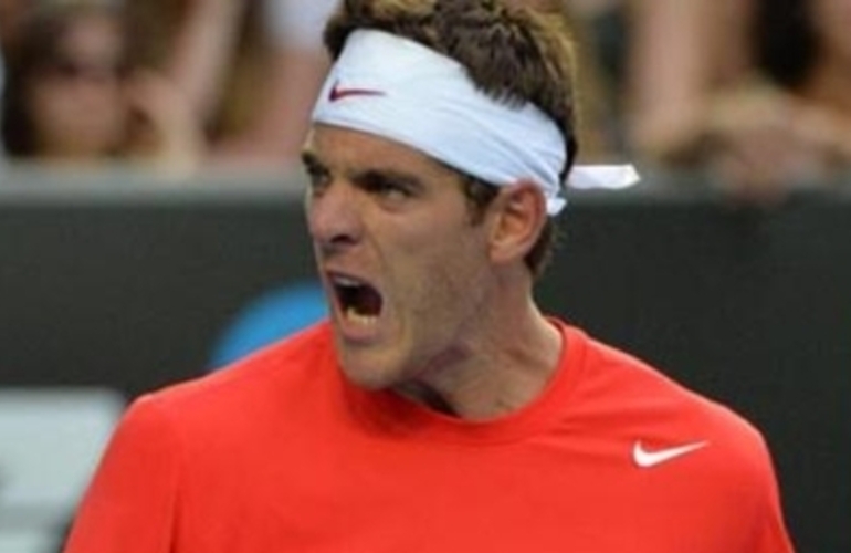 Imagen de Tenis: Del Potro venci&oacute; a Mathieu y pas&oacute; a los cuartos de final en Rotterdam