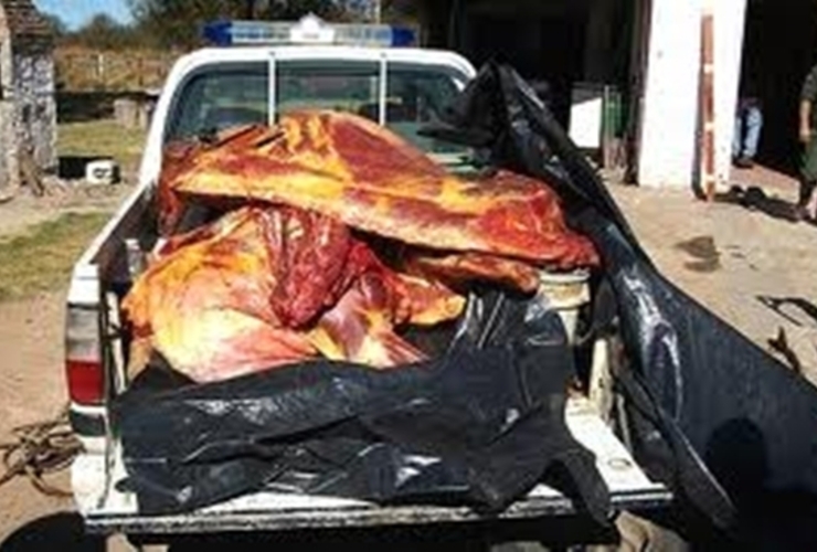 Imagen de Oficial Principal Leandro Peralta: El abigeato es uno de los delitos más antiguos