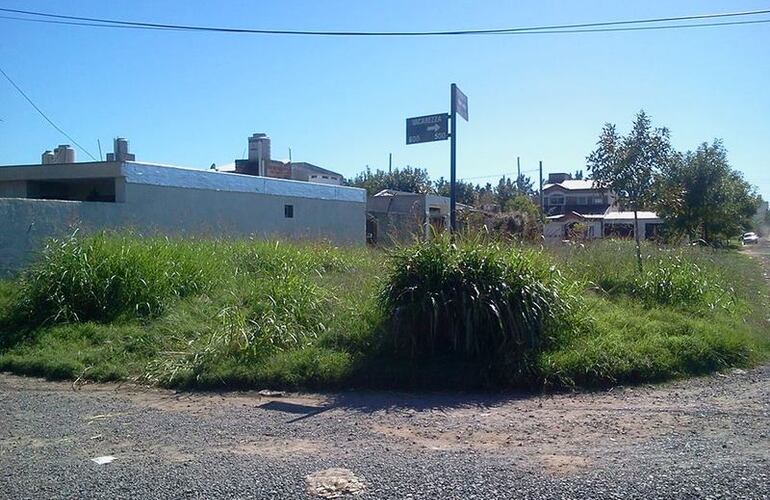 Imagen de Reclamo p&uacute;blico: vecinos solicitan desmalezamiento